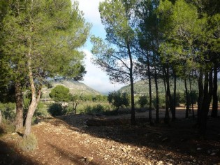 Ref. 25104--TERRENO RUSTICO EN ONIL