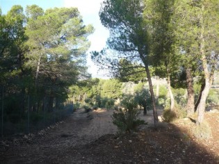 Ref. 25104--TERRENO RUSTICO EN ONIL