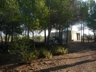 Ref. 25104--TERRENO RUSTICO EN ONIL