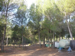 Ref. 25104--TERRENO RUSTICO EN ONIL